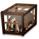 罠にかかったアライグマ