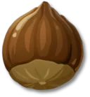 ヘーゼルナッツ