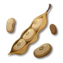 豆