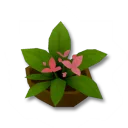 立派な植木鉢デコボックス