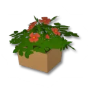 精巧な植木鉢デコボックス