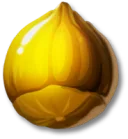 黄金のヘーゼルナッツ