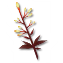 踊る花の枝