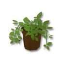 独創的な植木鉢(極小)デコボックス