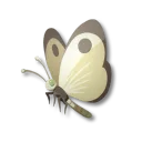 白花チョウ
