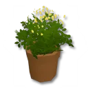 独創的な植木鉢(中)デコボックス