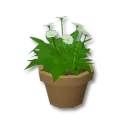 素朴な植木鉢(中)デコボックス